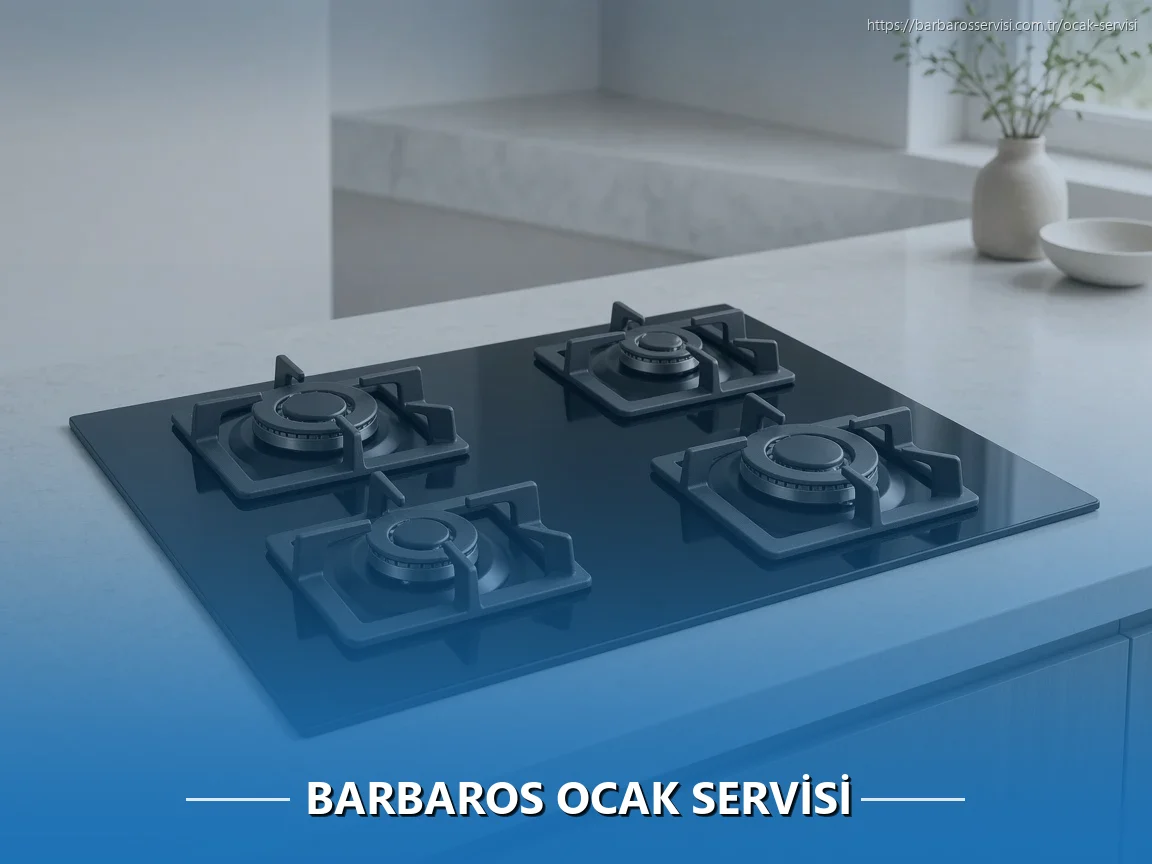 Barbaros Ocak Servisi