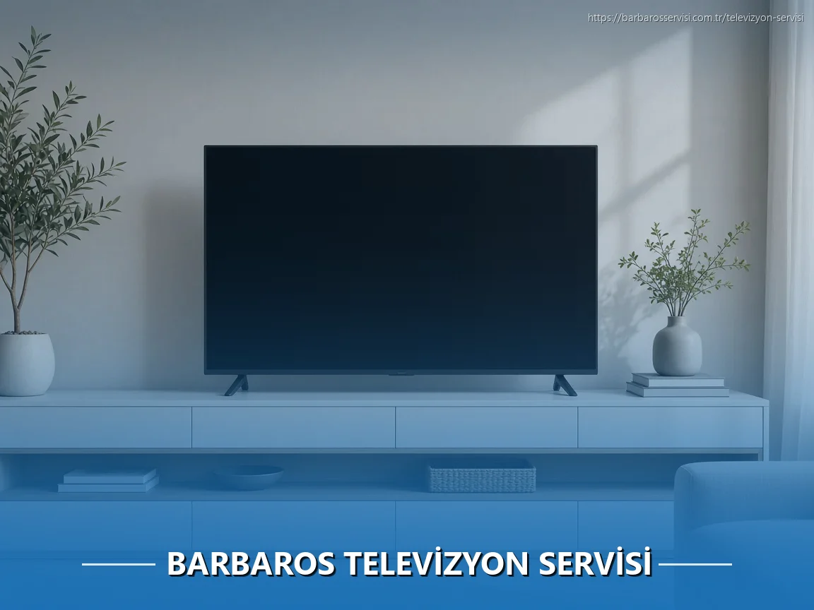 Barbaros Televizyon Servisi