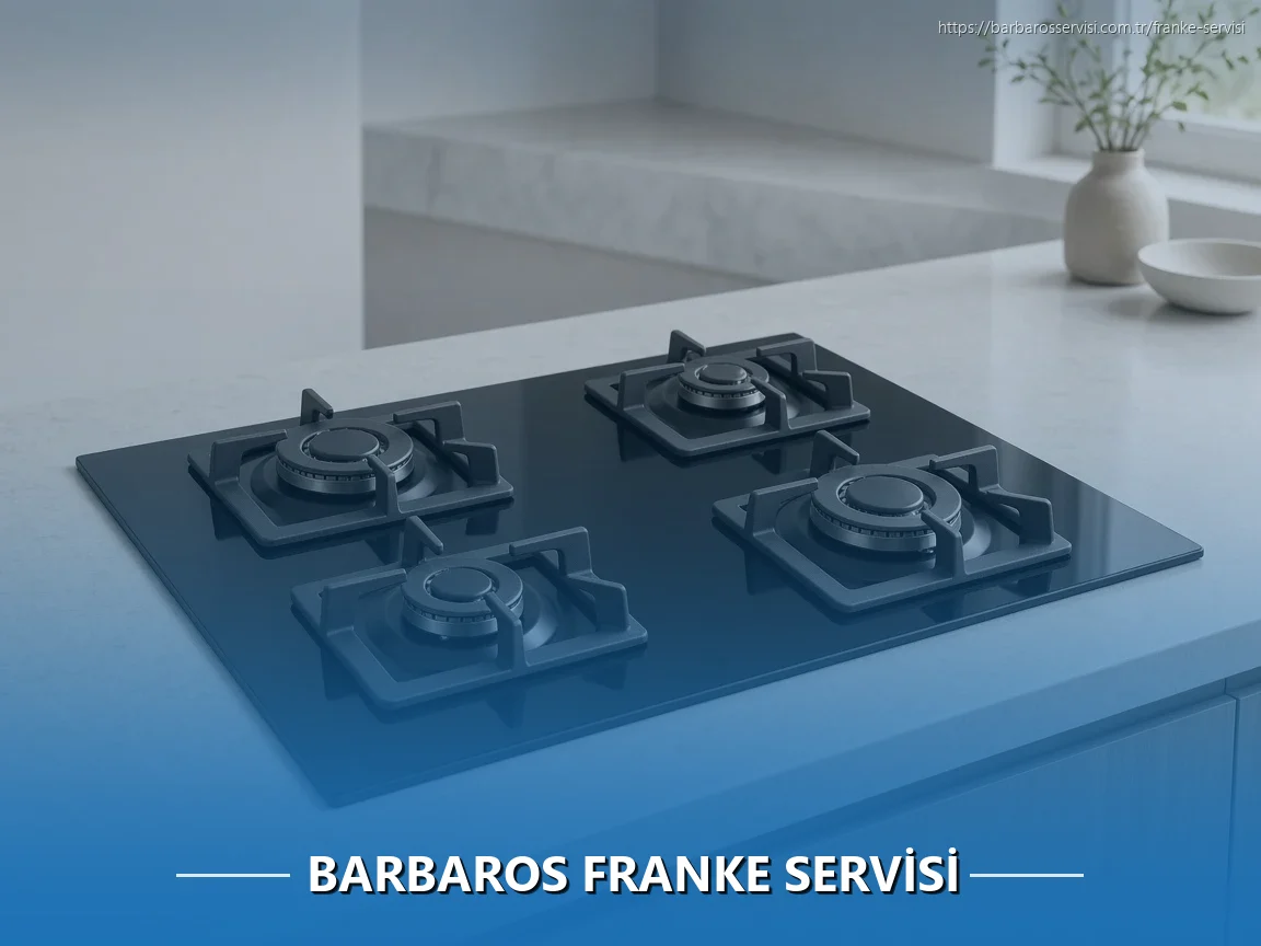 Barbaros Franke Servisi