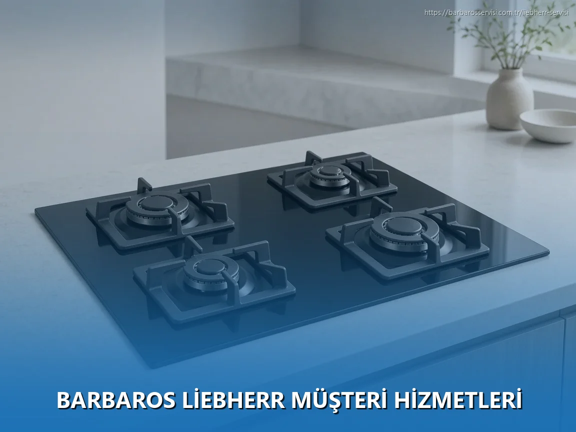 Barbaros Liebherr Müşteri Hizmetleri