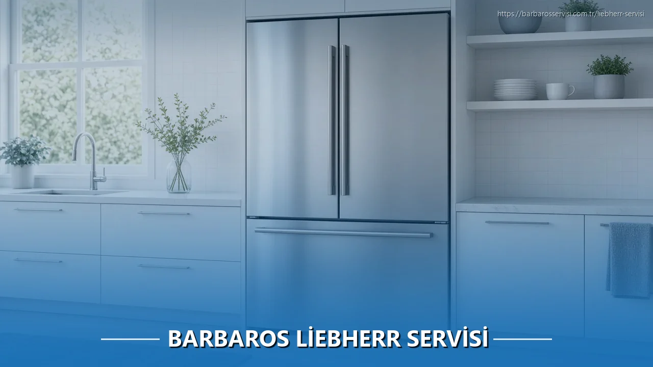 Barbaros Liebherr Servisi