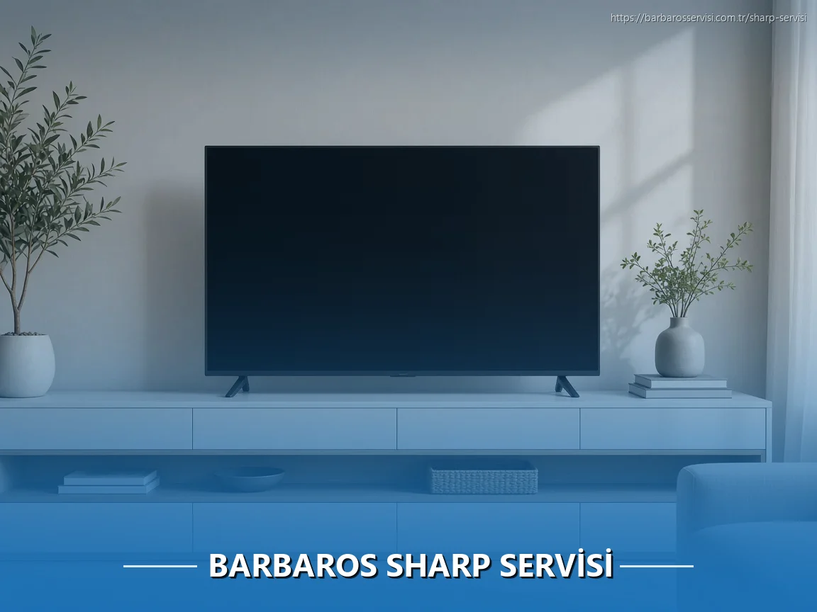 Barbaros Sharp Servisi